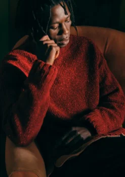 Knitwear-TOAST Donegal Wool High Neck Easy Sweater RedGranite