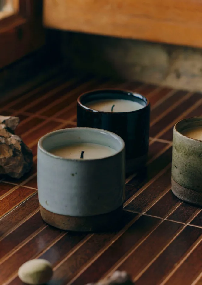 Candles & Holders-TOAST Giant Fir and Mountain Juniper Scented Candle GiantFiru0026MountainJuniper