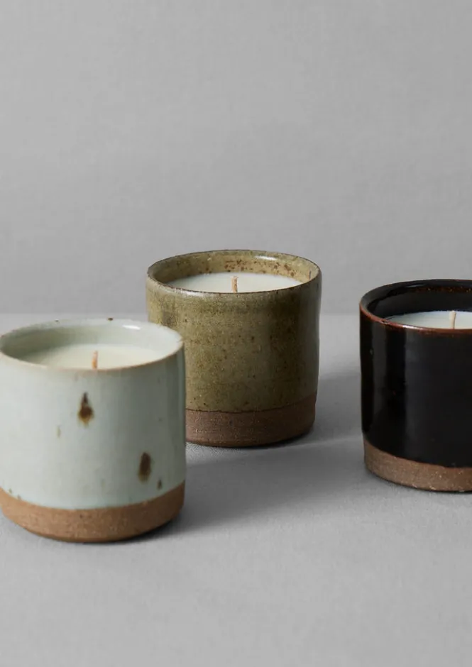 Candles & Holders-TOAST Giant Fir and Mountain Juniper Scented Candle GiantFiru0026MountainJuniper