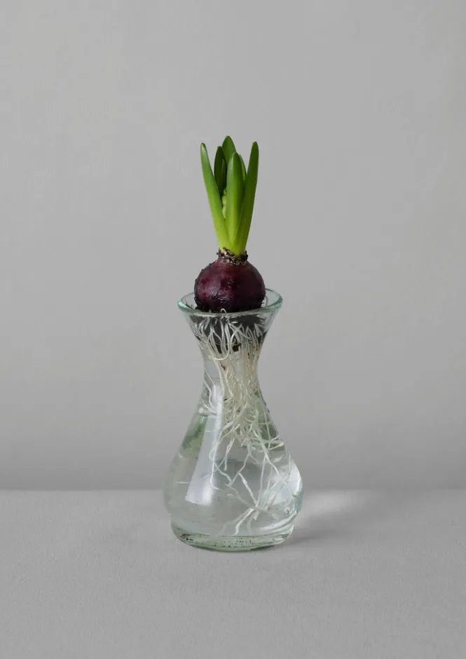 Glass|Decorative Pieces-TOAST Hand Blown Polonaise Vase Clear
