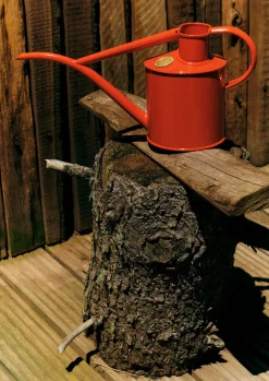 Outdoor-TOAST Haws Fazeley Flow Indoor Watering Can Nasturtium