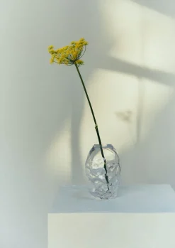 Glass|Decorative Pieces-TOAST Rosie Stonham Medium Membrane Vase Transparent